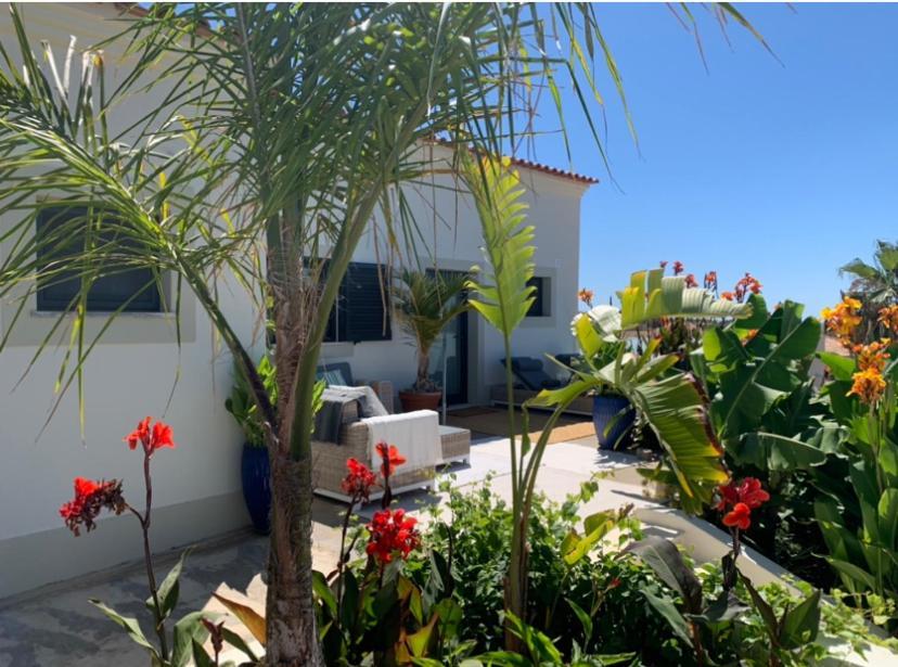 카르보에이루 A Beira Do Vale, Carvoeiro B&B 외부 사진