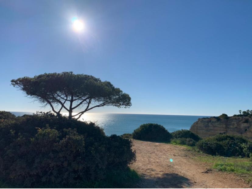 카르보에이루 A Beira Do Vale, Carvoeiro B&B 외부 사진